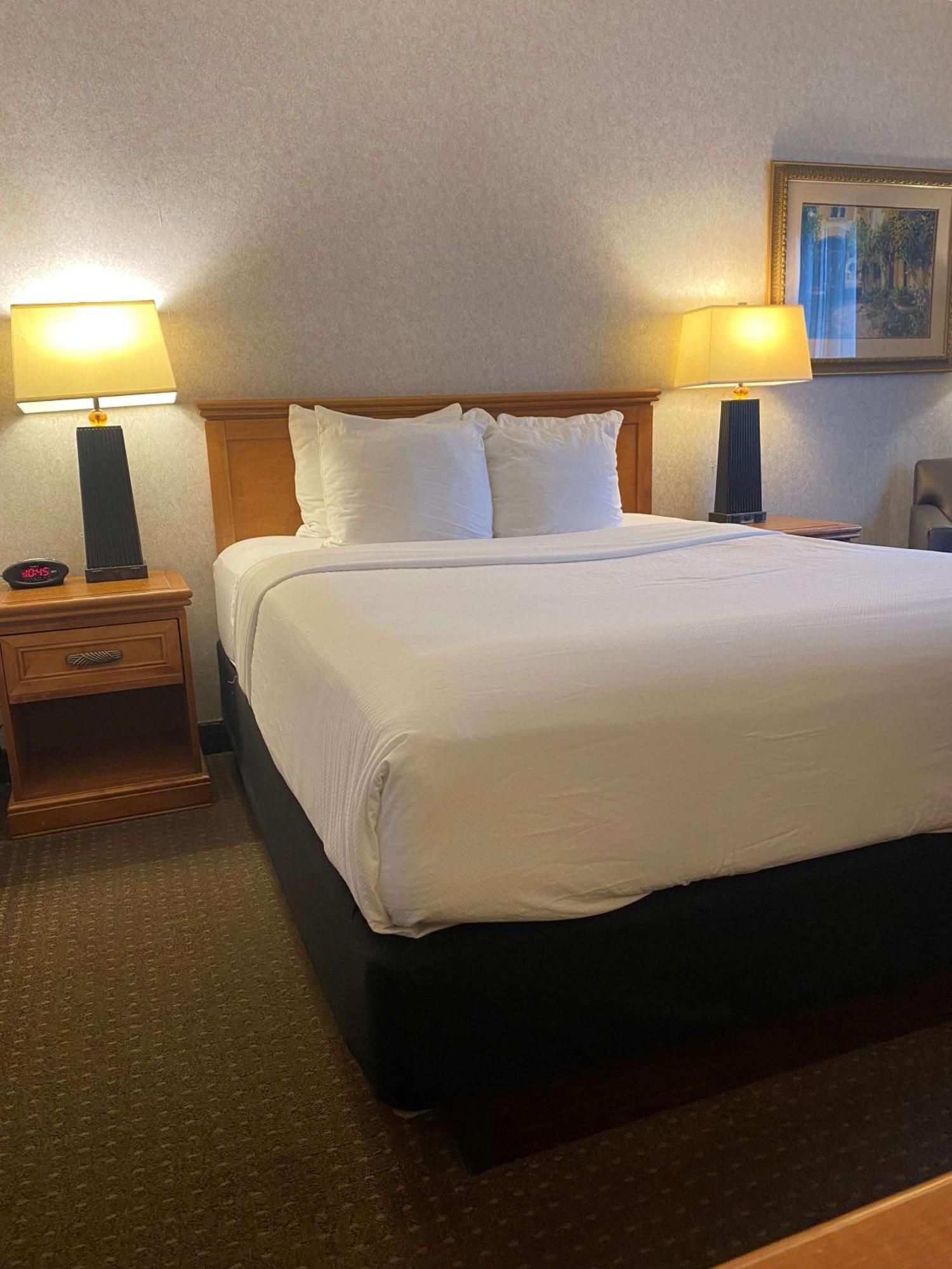 Western Kelly 4*